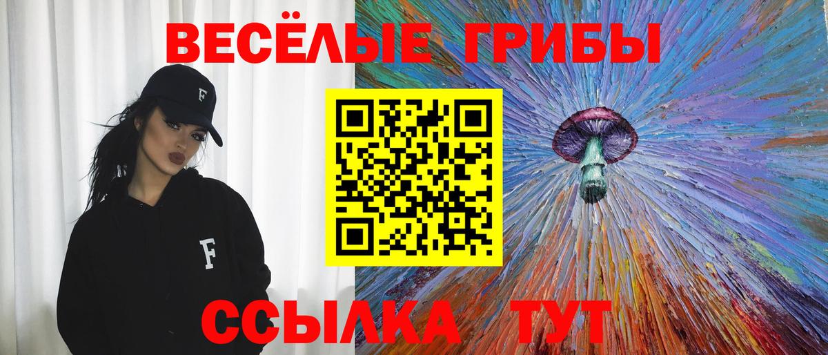 Псилоцибиновые грибы Psilocybe  Вход с VPN  Чехов 